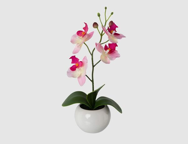 Bild 1 von Kunstblume Orchidee