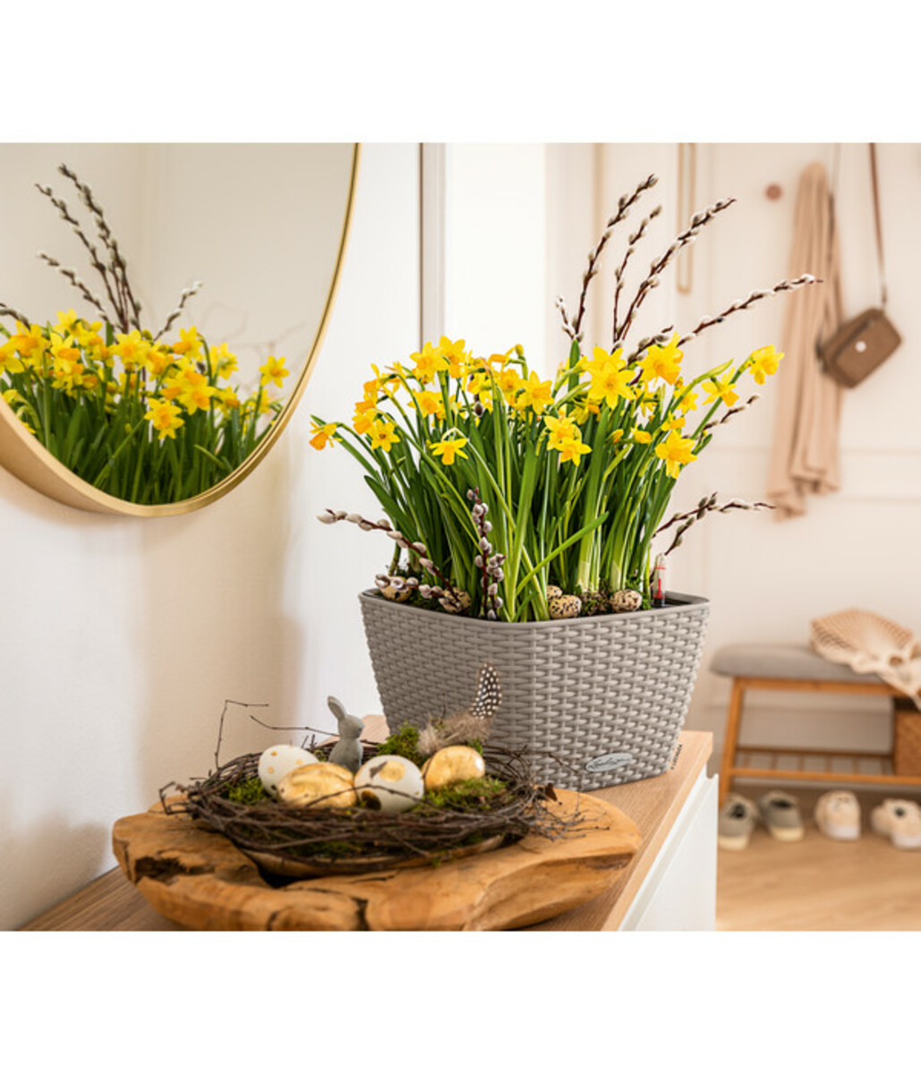 Bild 2 von LECHUZA® Kunststoff-Topf Bacino Cottage inkl. Pflanzeinsatz, konisch, ca. B31/H19,5/T31 cm