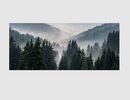 Bild 1 von Bild Wald im Nebel