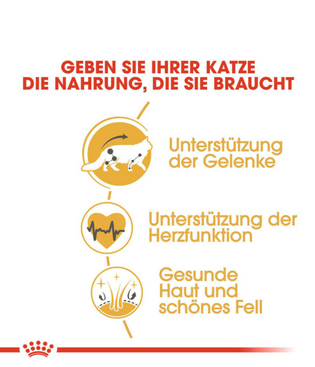 Bild 4 von ROYAL CANIN® Trockenfutter für Katzen Maine Coon Adult