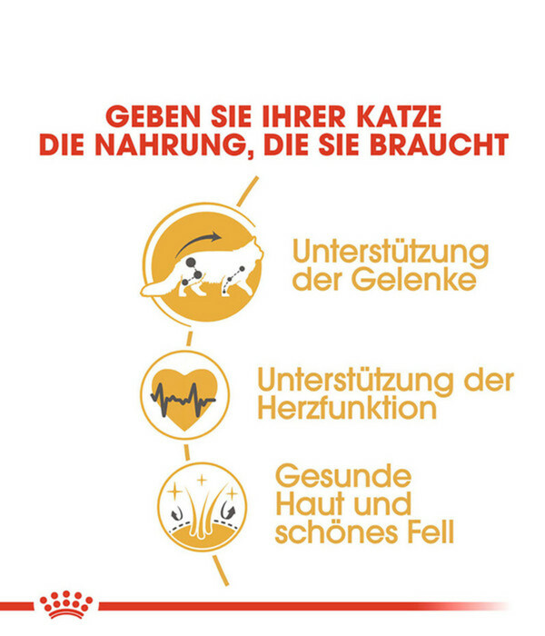 Bild 4 von ROYAL CANIN® Trockenfutter für Katzen Maine Coon Adult