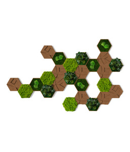 Bilder-Set aus Moos und Kork, Hexagon, 25-teilig