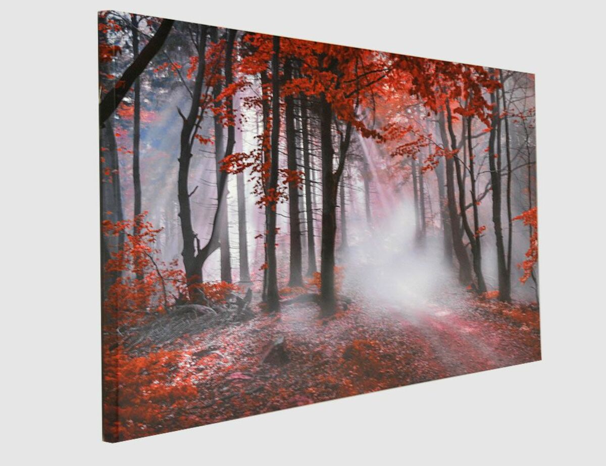 Bild 2 von Bild Autumn II