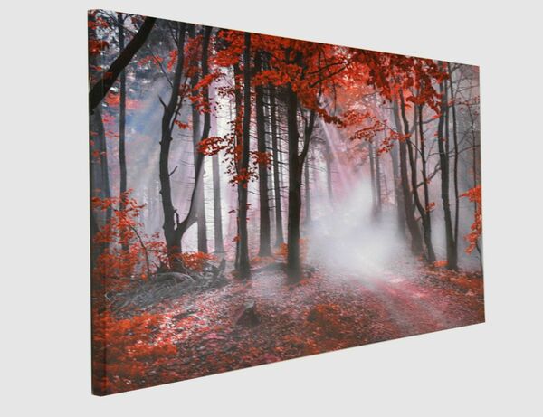 Bild 2 von Bild Autumn II