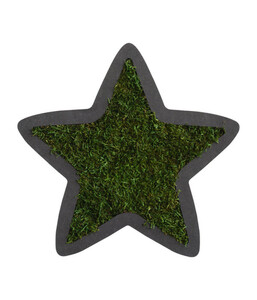 Stern aus Waldmoos, ca. B26/H26/T2 cm