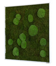 Bild 2 von Bild aus Wald- und Kugelmoos, quadratisch, ca. B80/H80/T7 cm