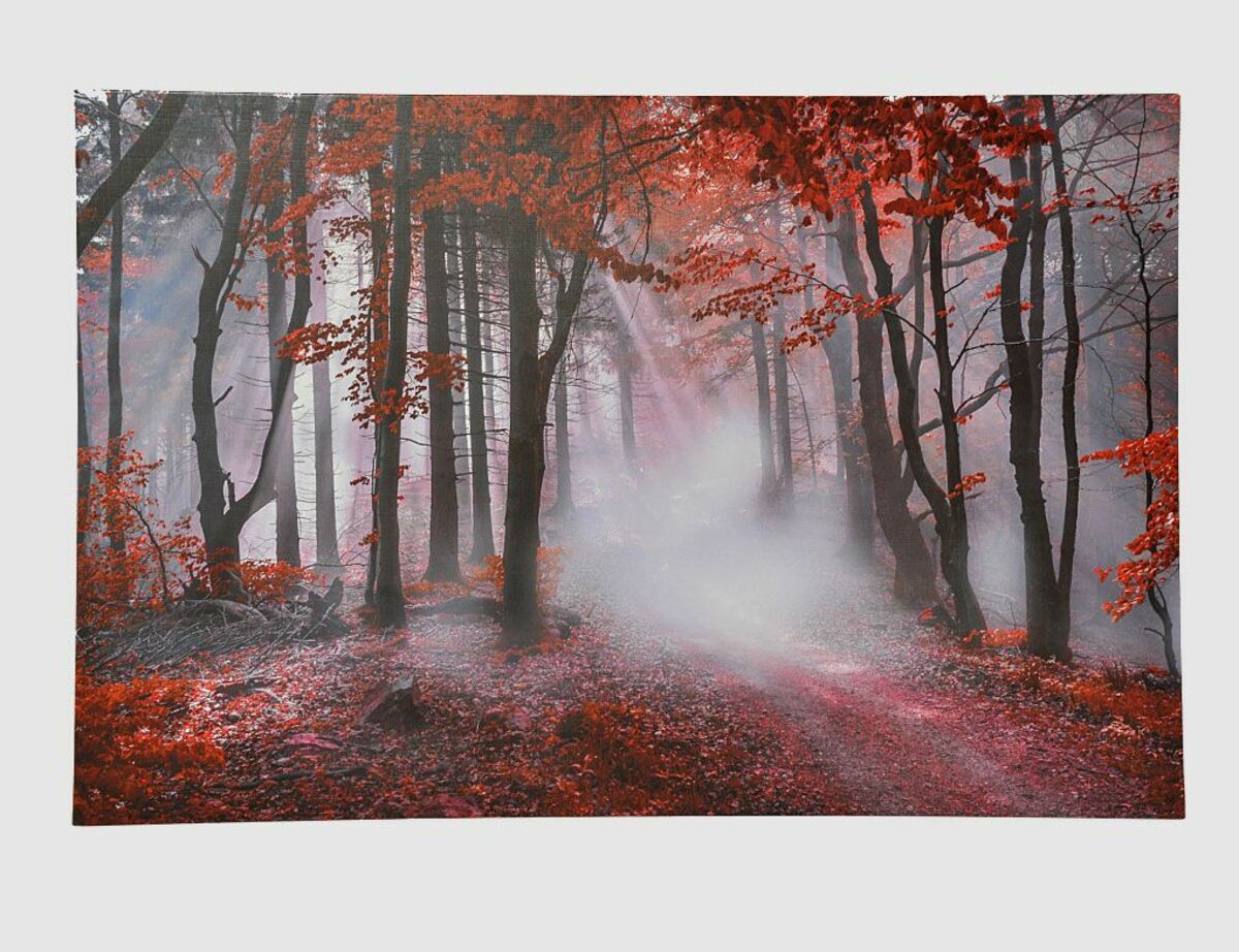 Bild 1 von Bild Autumn II