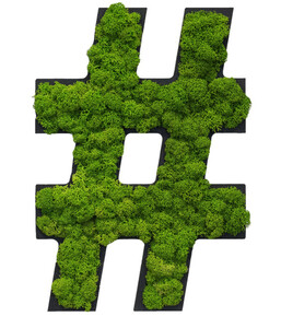 Sonderzeichen 'Hashtag' aus Islandmoos, ca. B20/H25/T3,5 cm