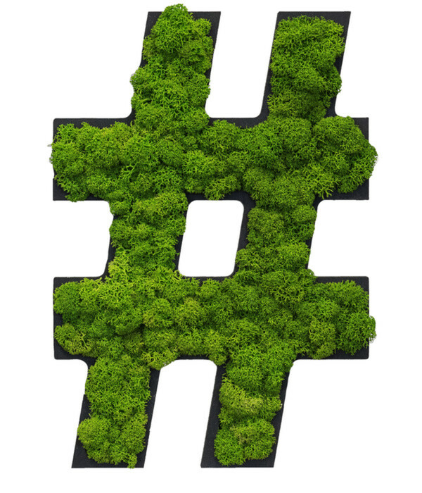 Bild 1 von Sonderzeichen 'Hashtag' aus Islandmoos, ca. B20/H25/T3,5 cm