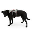 Bild 2 von RUFFWEAR® Hundegeschirr DoubleBack™ Cloudburst Gray, L/XL