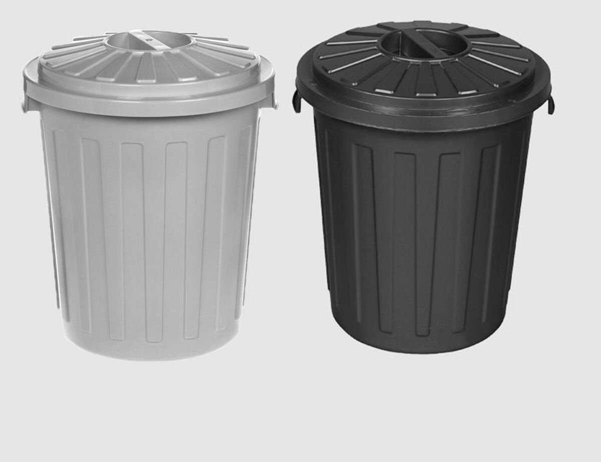 Bild 1 von Maxi Tonne 23L