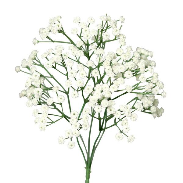 Bild 1 von Kunstblume Schleierkraut Busch 38 cm weiß