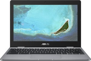 Asus Chromebook C223NA-GJ0102 29,46 cm (11,6") Chromebook grau