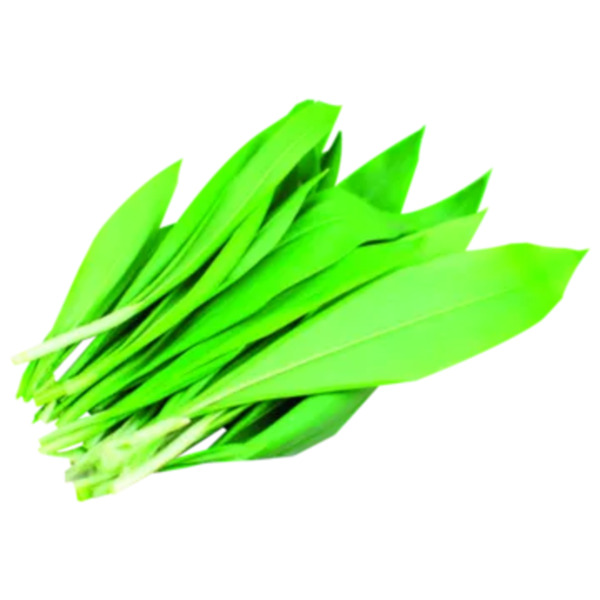 Deutschland Bio HIT Bärlauch von HIT ansehen! Deutschland Bio HIT Bärlauch von HIT ansehen!