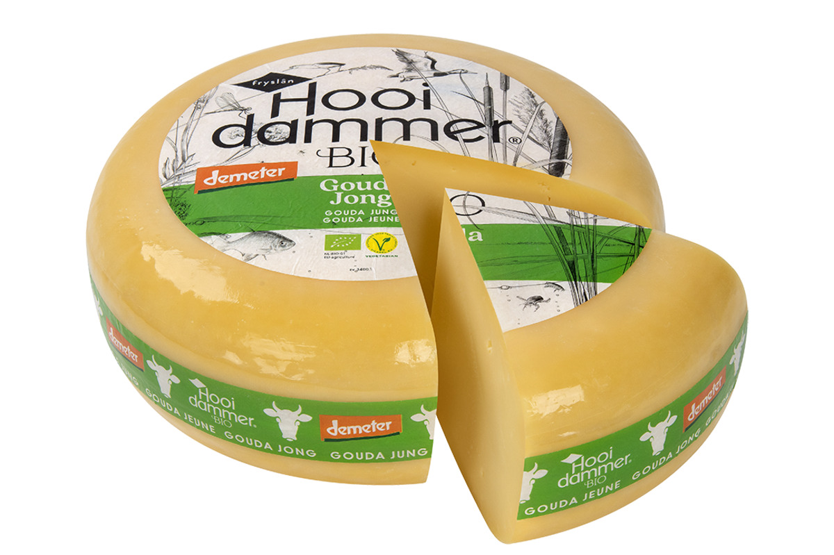 Bild 1 von Gouda jung