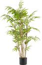 Bild 1 von Kunstpflanze Bambus in Grün