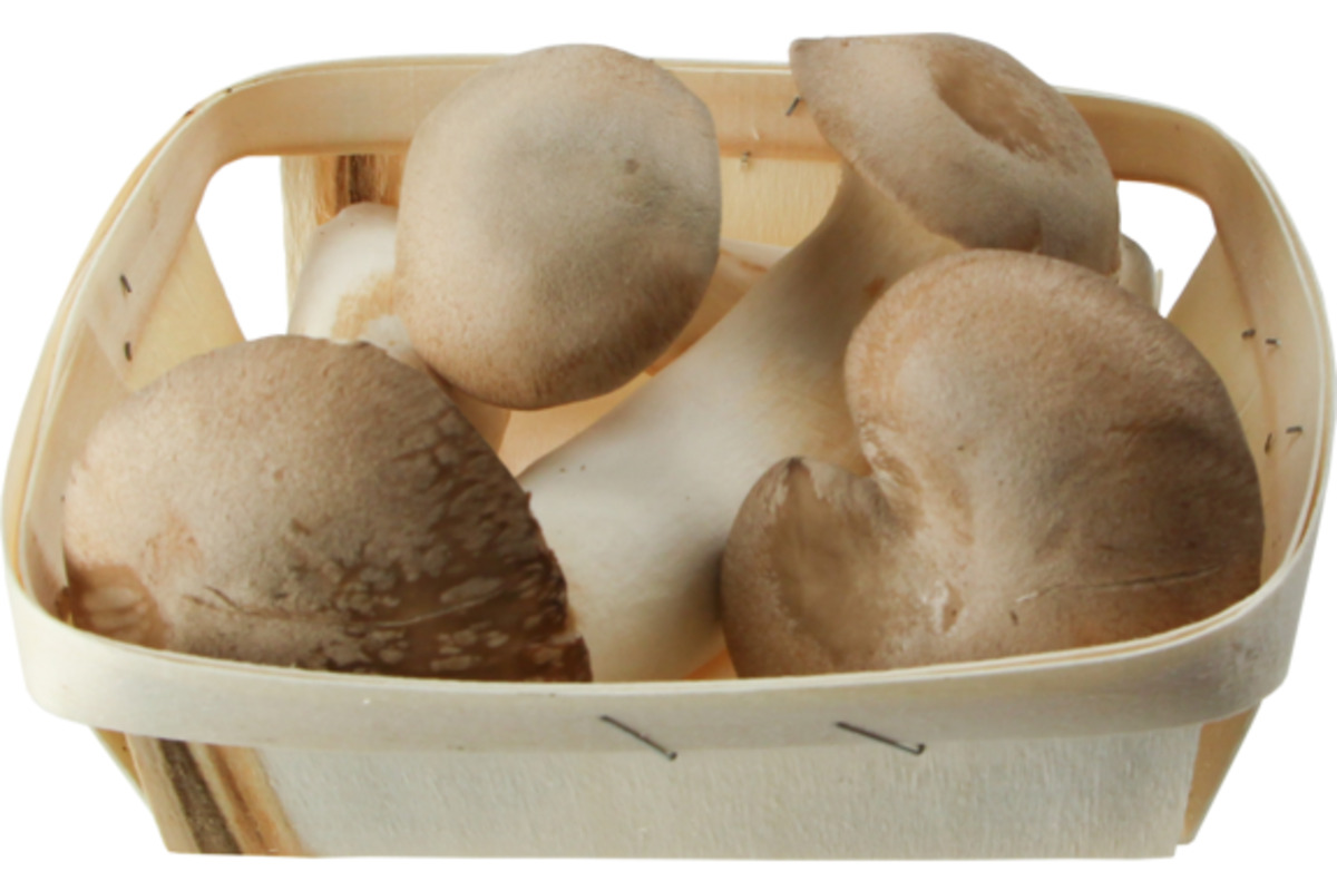 Bild 1 von Kräuterseitlinge