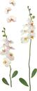 Bild 1 von Dekosticker Orchidee in Weiß
