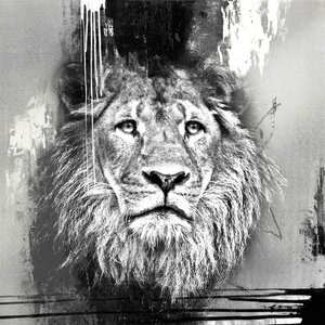 PRO ART Handpainting Bild LION 100 x 100 cm Leinwand grau