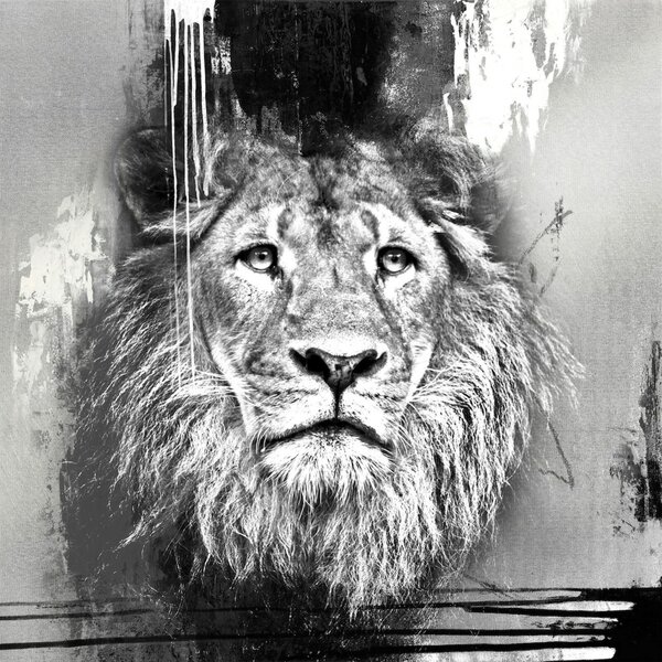 Bild 1 von PRO ART Handpainting Bild LION 100 x 100 cm Leinwand grau