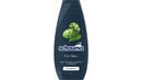 Bild 1 von Schwarzkopf schauma Shampoo For Men