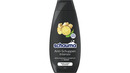 Bild 1 von Schwarzkopf schauma Shampoo Intensiv Anti-Schuppen