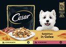 Bild 1 von Cesar Selektion in Gelee Multipack