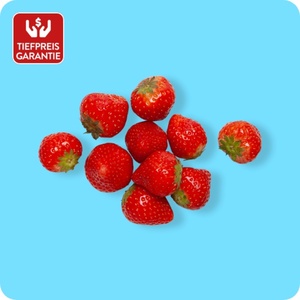 Erdbeeren Ursprung: Spanien / Griechenland, Klasse I, 500-g-Schale