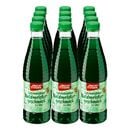 Bild 1 von Fruchtstern Waldmeistersirup 0,5 Liter, 12er Pack