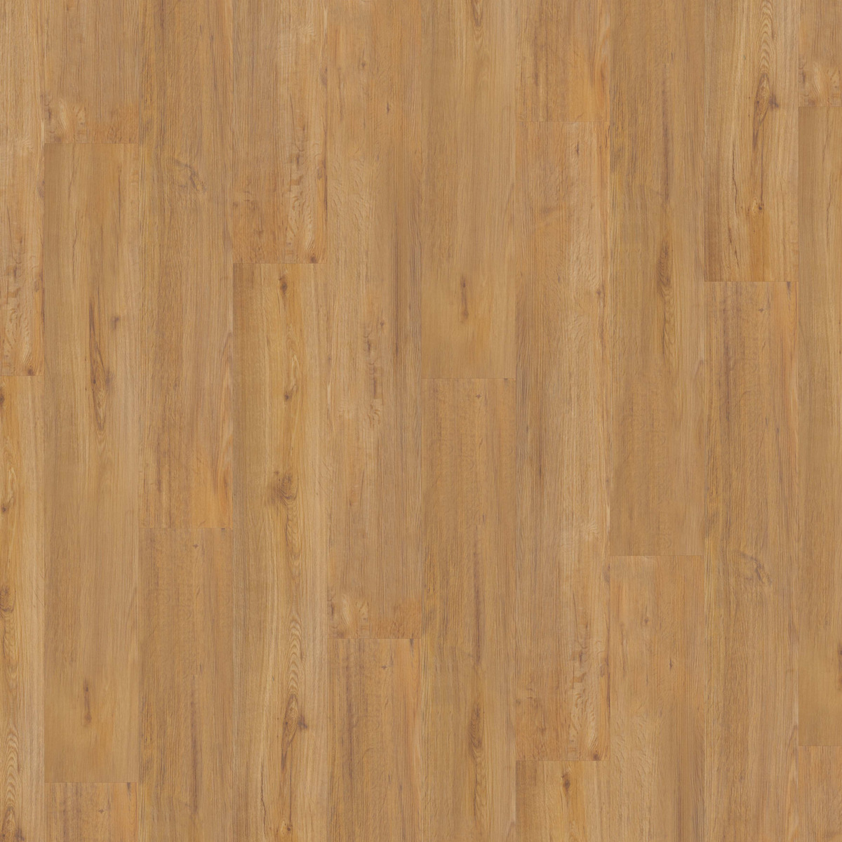 Bild 1 von D-c-floor Vinylboden 'Rigid' Golden Oak 4 mm
