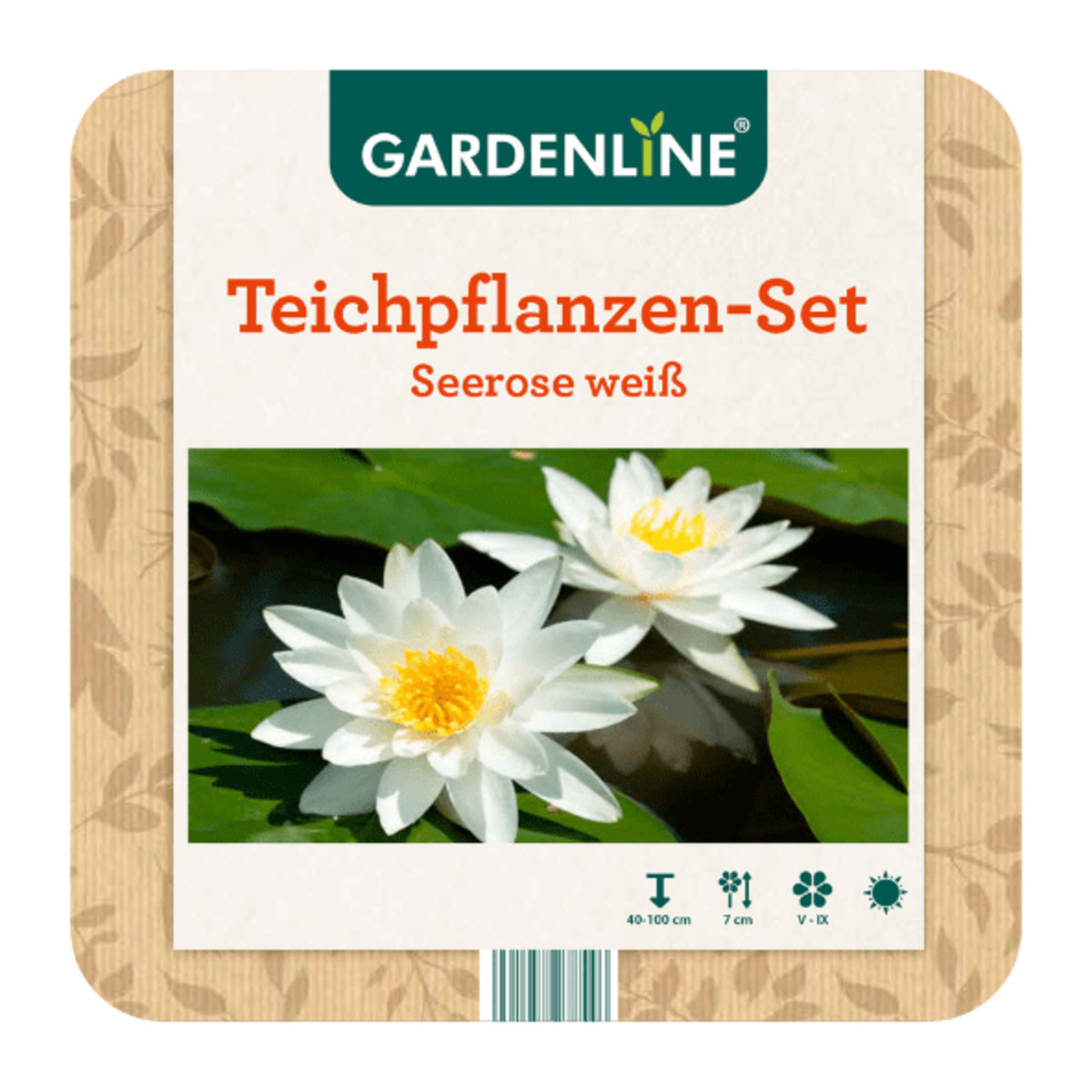 Bild 2 von GARDENLINE Teichpflanzen-Set