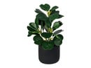 Bild 3 von LIVARNO home Kunstpflanze Codiaeum / Peperomia / Ficus pumila / Farn, Ø 11 cm