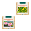 Bild 1 von GARDENLINE Teichpflanzen-Set