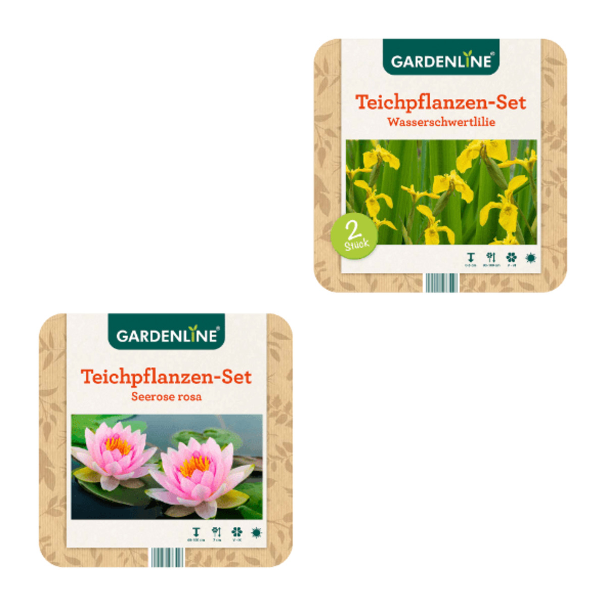Bild 1 von GARDENLINE Teichpflanzen-Set