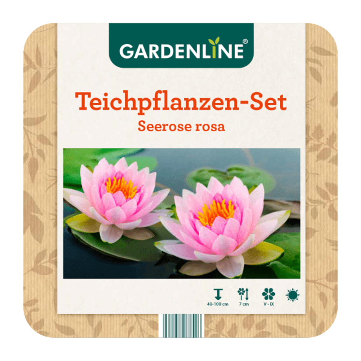 Bild 3 von GARDENLINE Teichpflanzen-Set