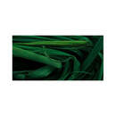 Bild 2 von Raffia-Naturbast "Natur", tannengrün