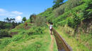 Bild 1 von Rundreisen Geführte Wanderreise Portugal/Madeira: Hotel Madeira Panorâmico in Funchal