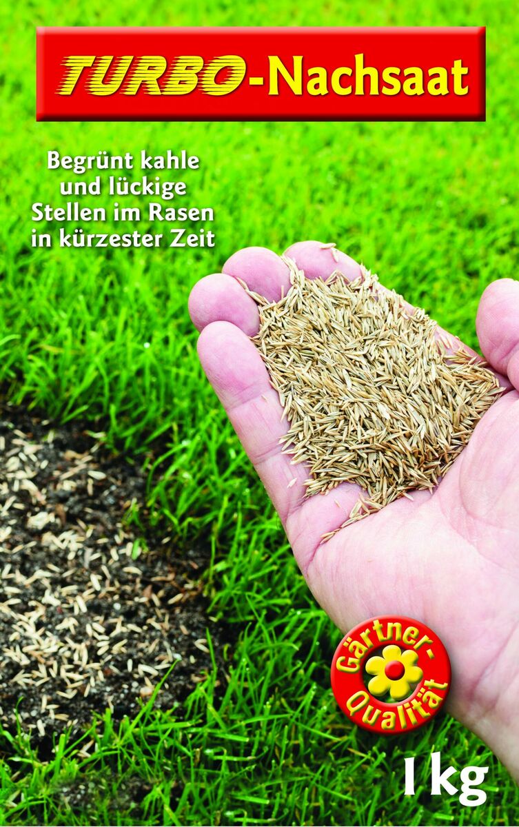 Bild 1 von Turbo Nachsaat 1 kg