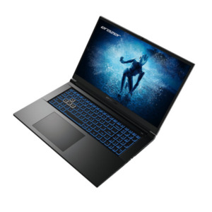 17,3' Gaming Laptop Defender P50, RTX 4060 (Md62620)