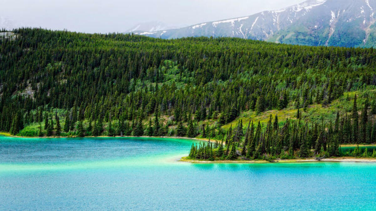 Bild 1 von Rundreisen Kanada & USA: Rundreise ab/an Whitehorse