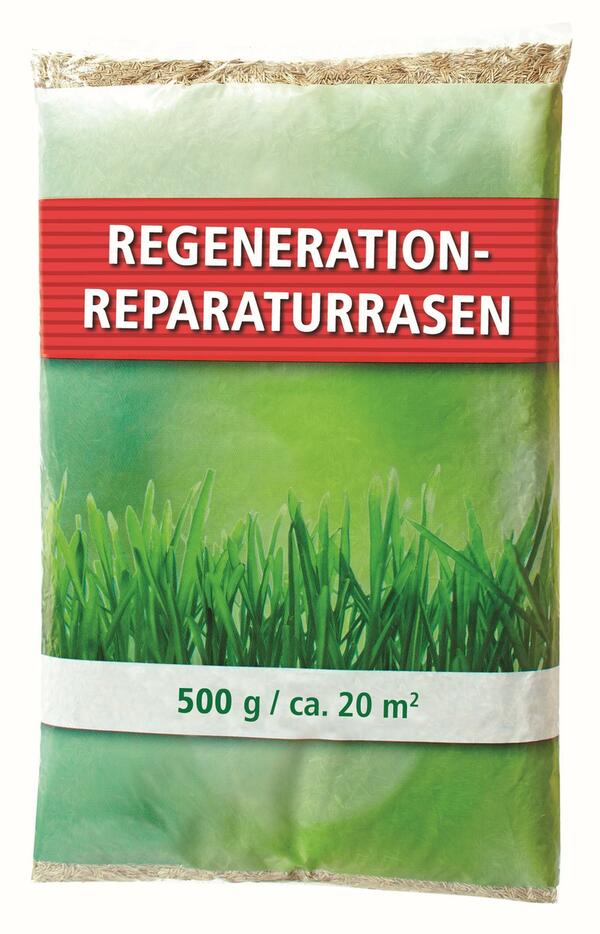 Bild 1 von Regeneration-Reparaturrasen 500 g