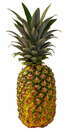 Bild 1 von Costa-rican. Ananas