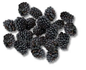 Portug. Brombeeren