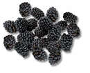 Bild 1 von Portug. Brombeeren