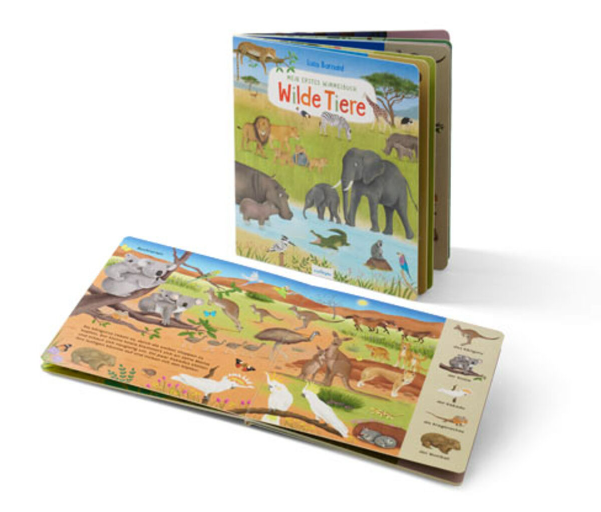 Bild 1 von Buch »Mein erstes Wimmelbuch – Wilde Tiere«