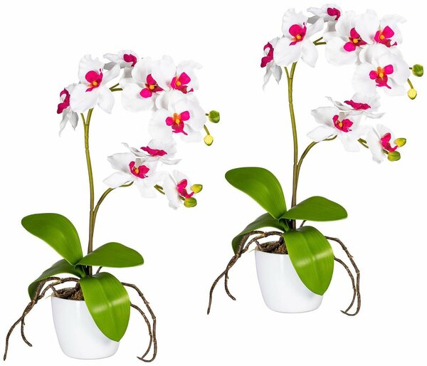 Bild 1 von Kunstpflanze Orchidee Phalaenopsis Orchidee, Creativ green, Höhe 60 cm, im Keramiktopf