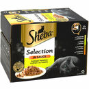 Bild 1 von Sheba Katzenfutter Selection in Sauce Geflügel Variation, 12er Pack