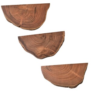 CASAVANTI Wandregal 3er Set Akazie Massivholz braun - 3er Set - Massivholz Akazie - Unikat - Baumscheiben mit markanter Holzmaserung