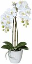 Bild 1 von Kunstpflanze Orchidee Phalaenopsis Orchidee, Creativ green, Höhe 43 cm, im Keramiktopf