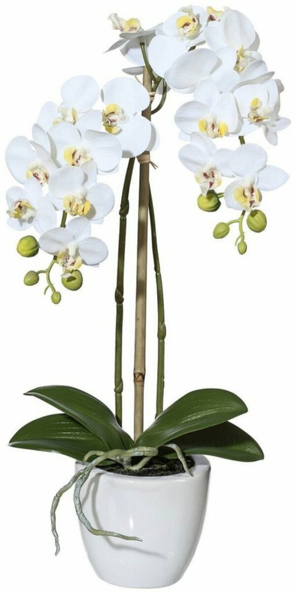 Bild 1 von Kunstpflanze Orchidee Phalaenopsis Orchidee, Creativ green, Höhe 43 cm, im Keramiktopf